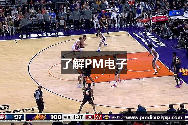 了解PM电子
